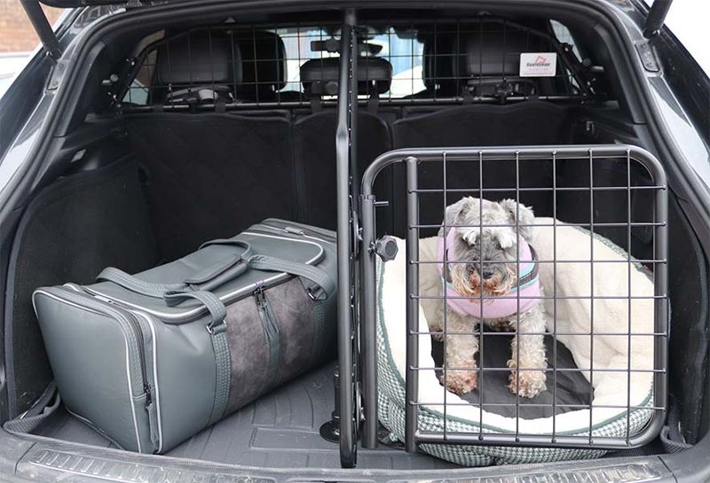 Tail Gate for Guardsman Dividers
